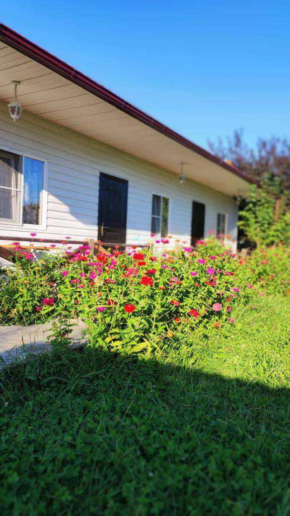 Гостевой дом Анита, Гагра — фото 3