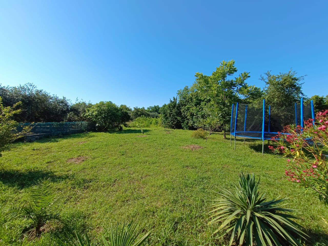 Гостевой дом Анита, Гагра — фото 6