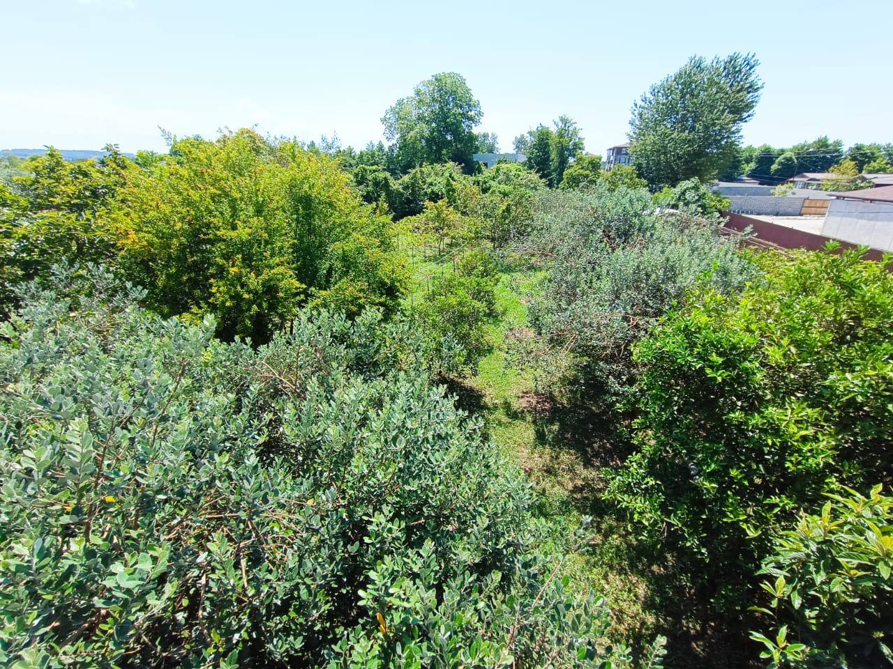 Гостевой дом Анита, Гагра — фото 10