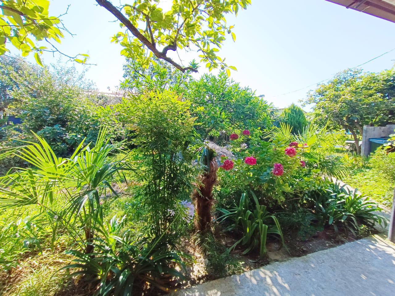 Гостевой дом Анита, Гагра — фото 9