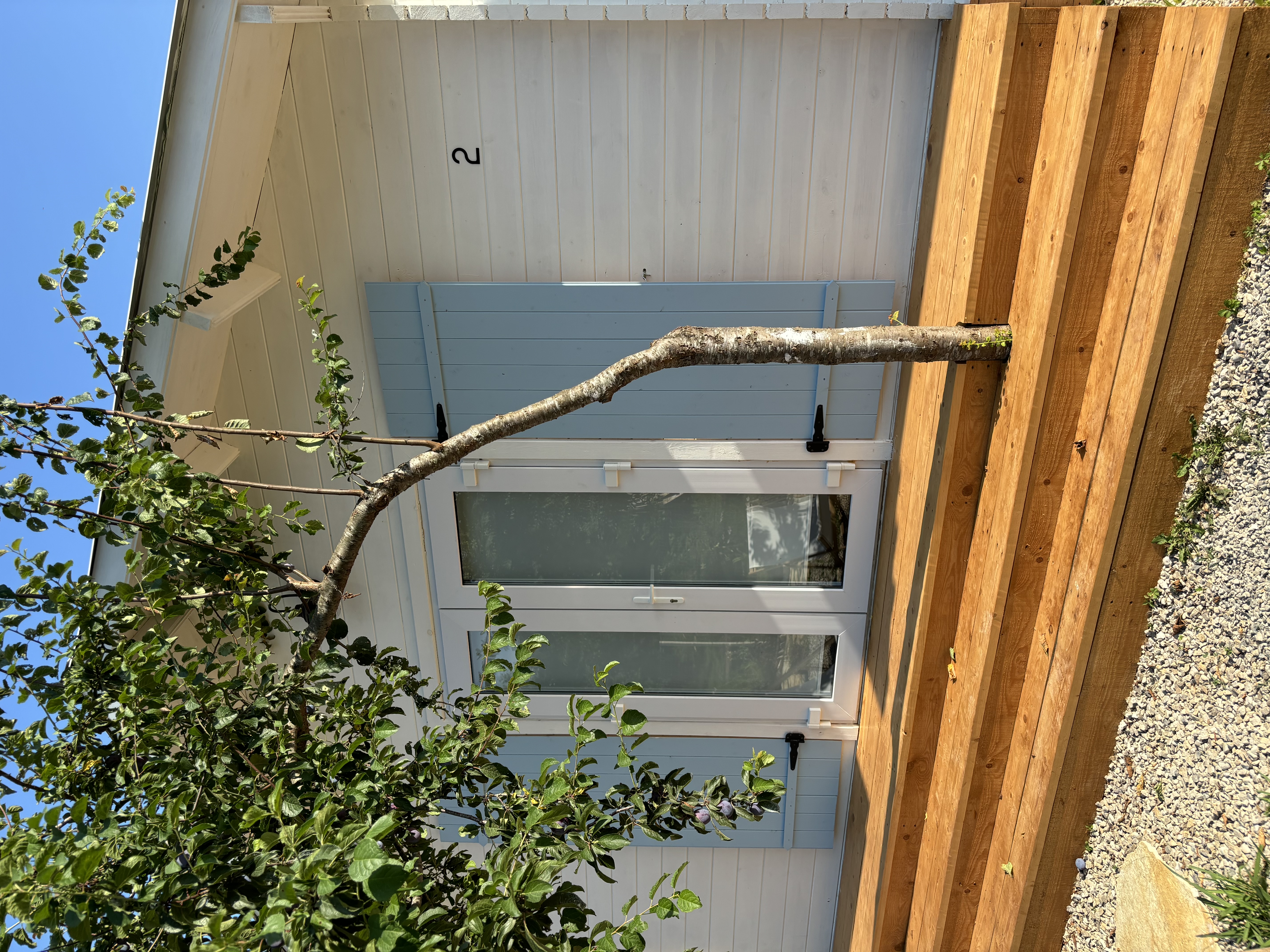 Mandarin, Гудаута — фото 1