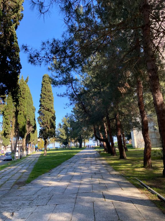 Квартира в центре города, Пицунда — фото 1