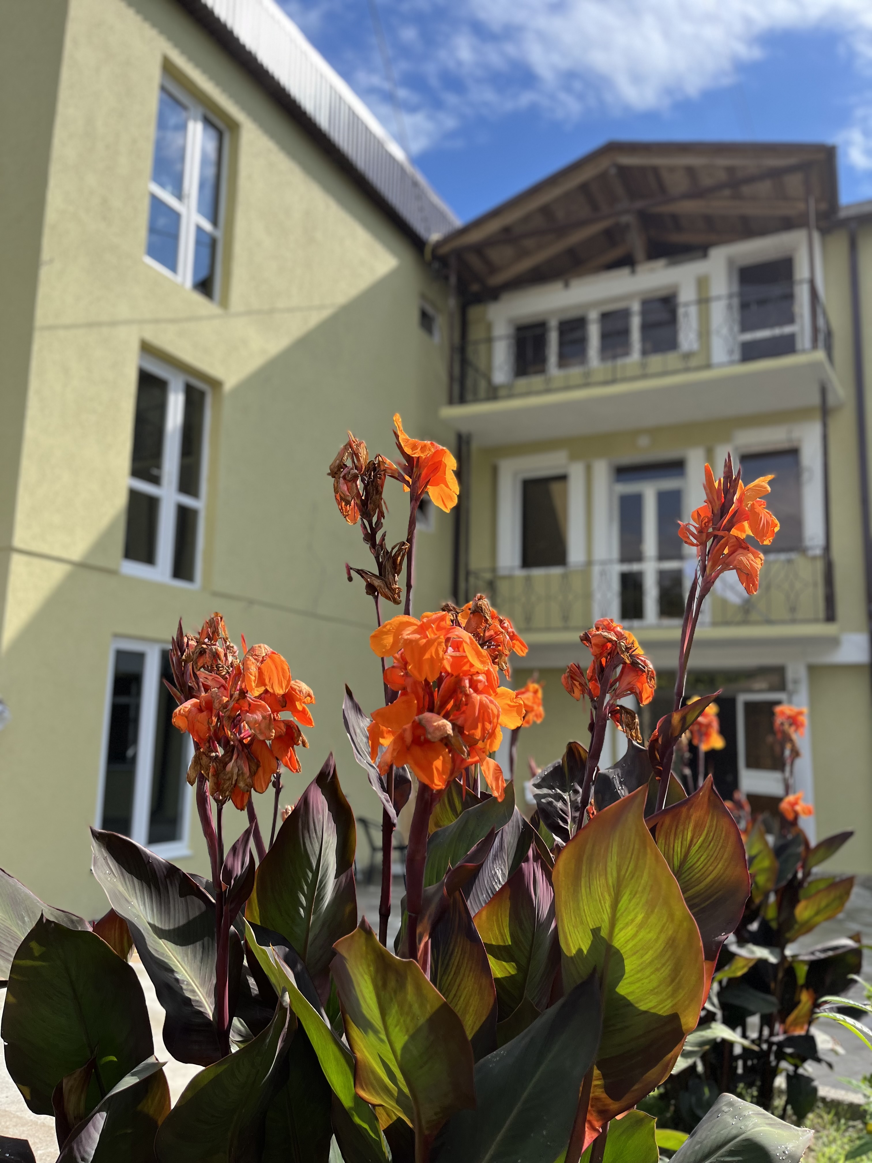 Luman, Сухум — фото 1