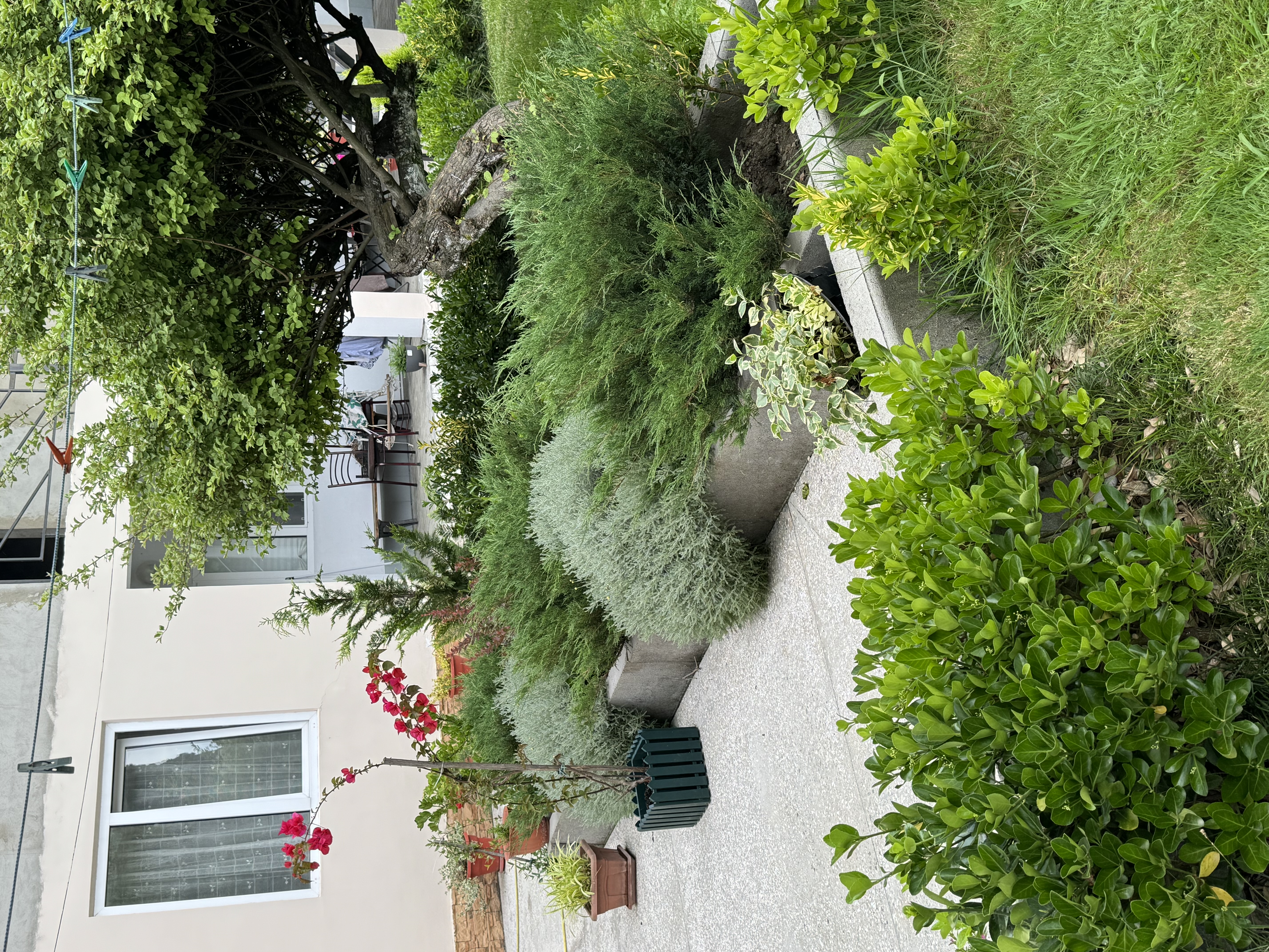 Дом по улице Киараз, Гудаута — фото 1