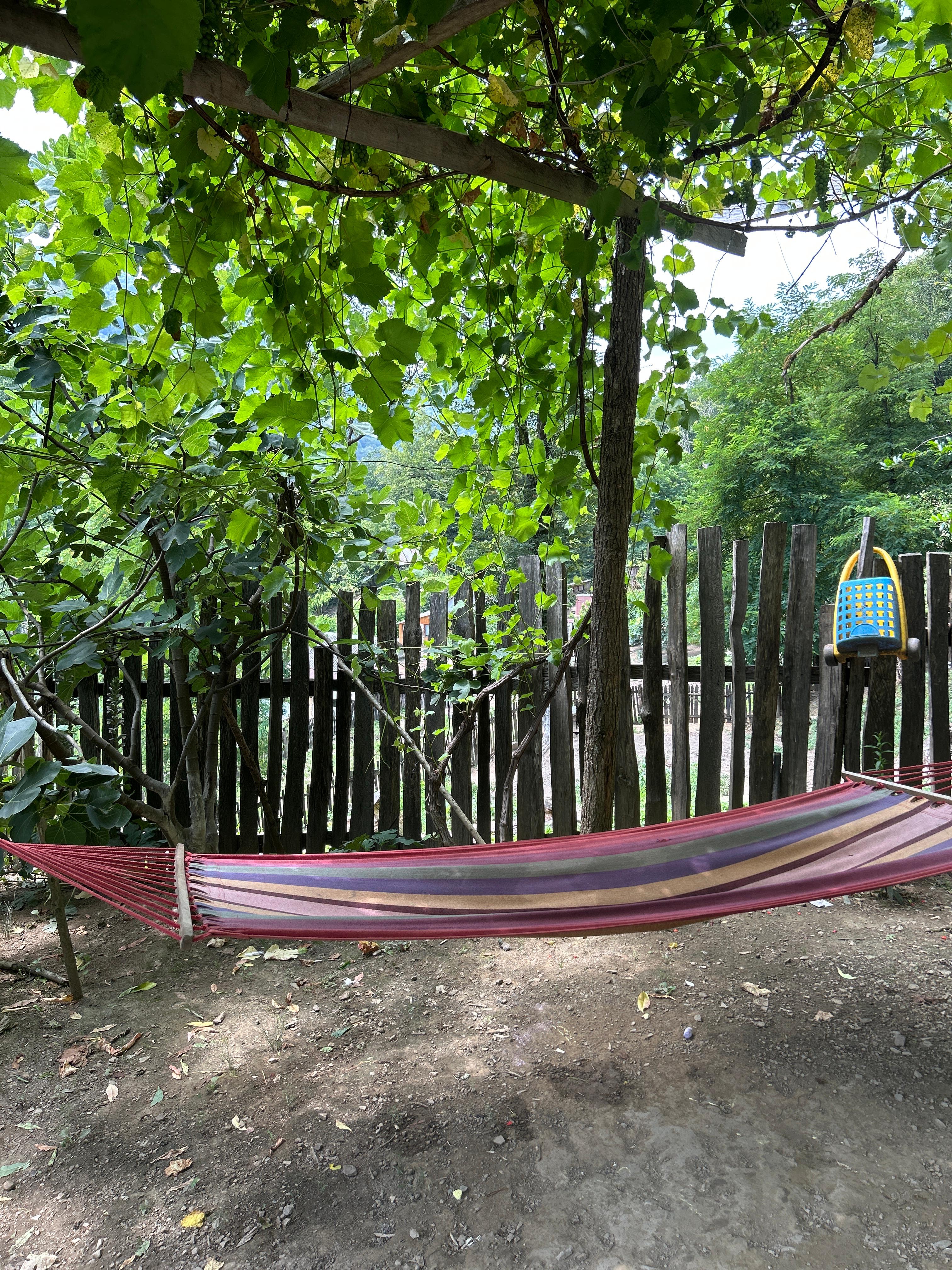 Папа Адзыбжара, Сухумский район — фото 2