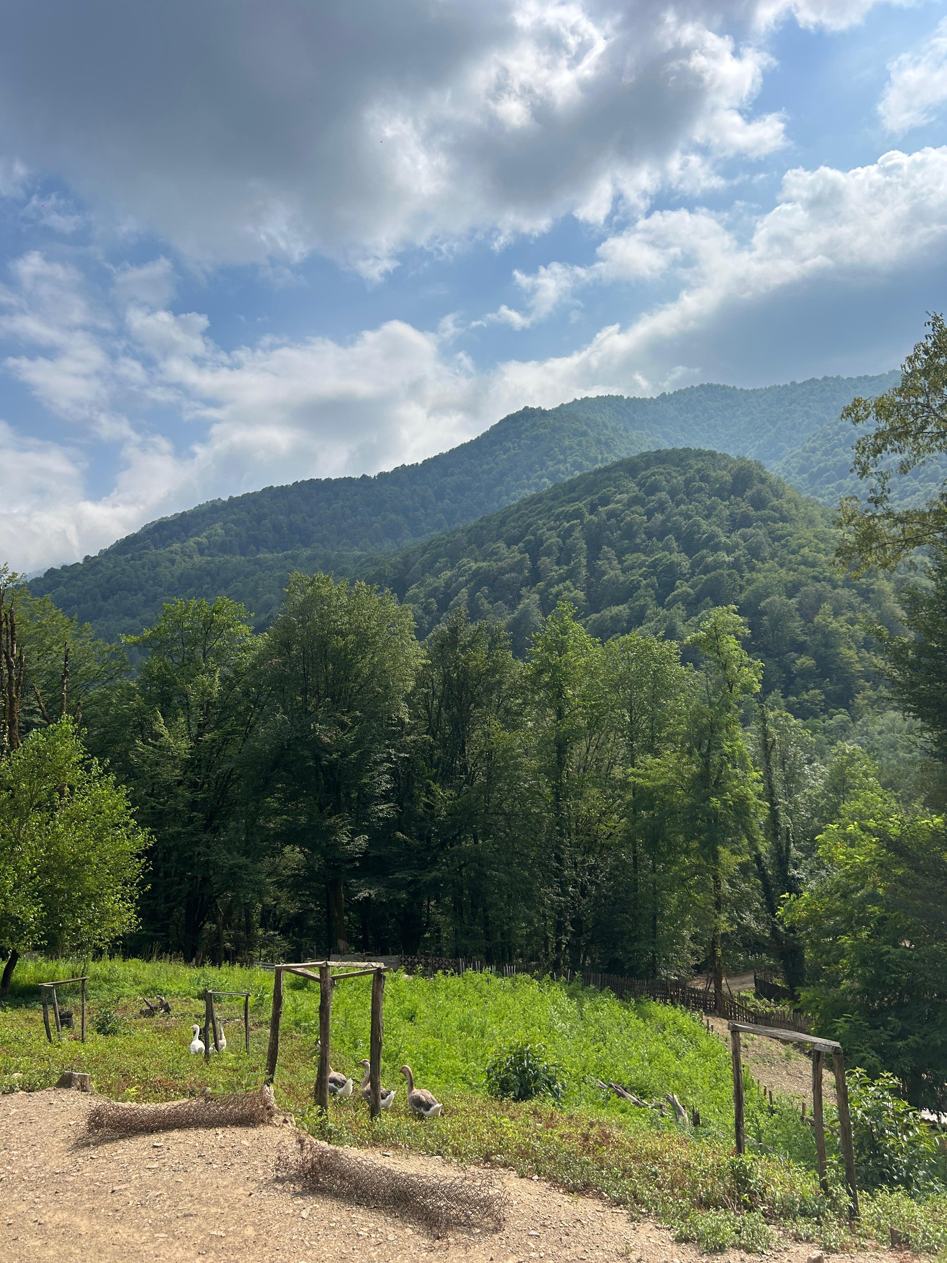 Папа Адзыбжара, Сухумский район — фото 3
