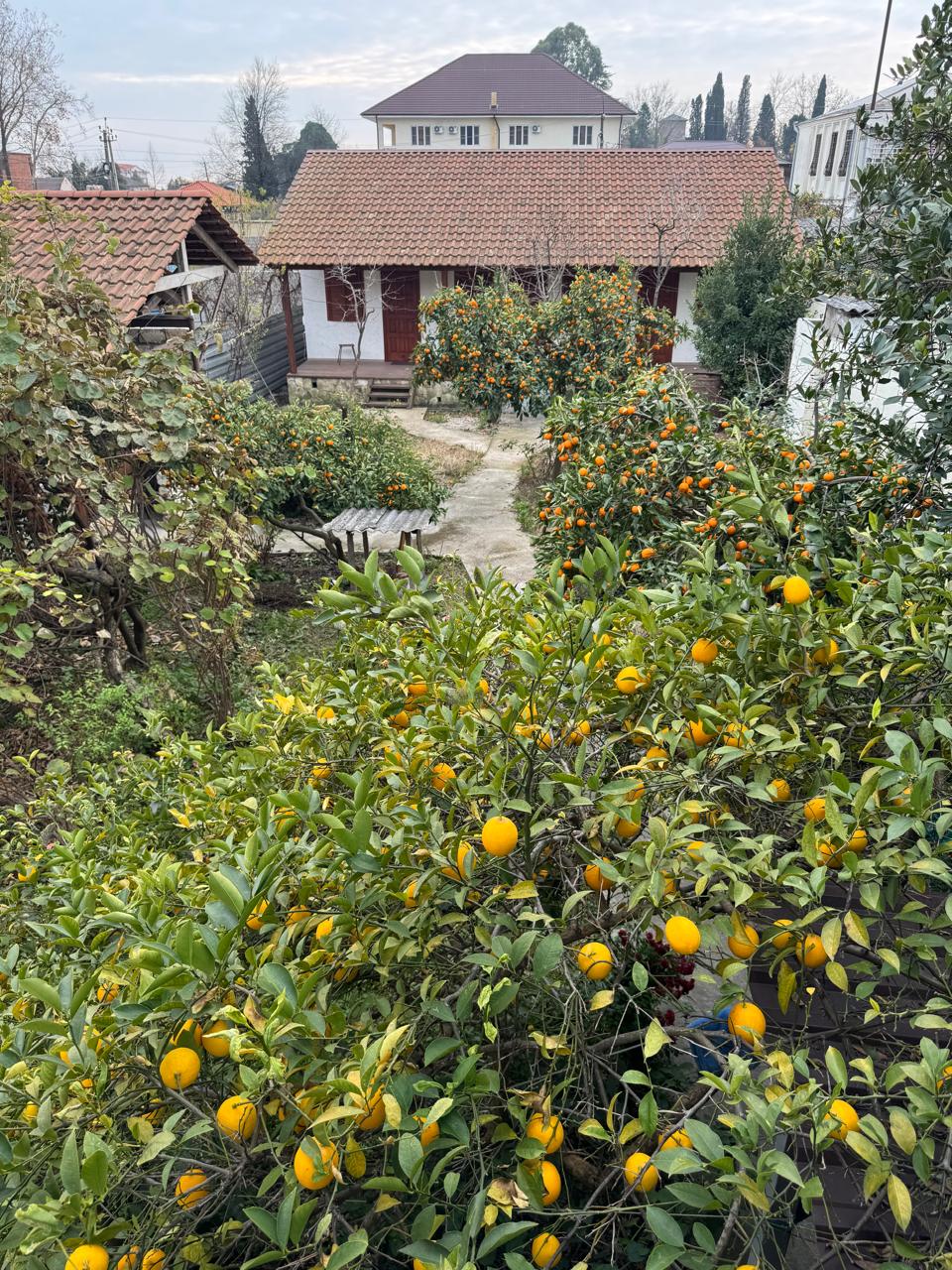 Вилла Абахча, Гудаута — фото 4