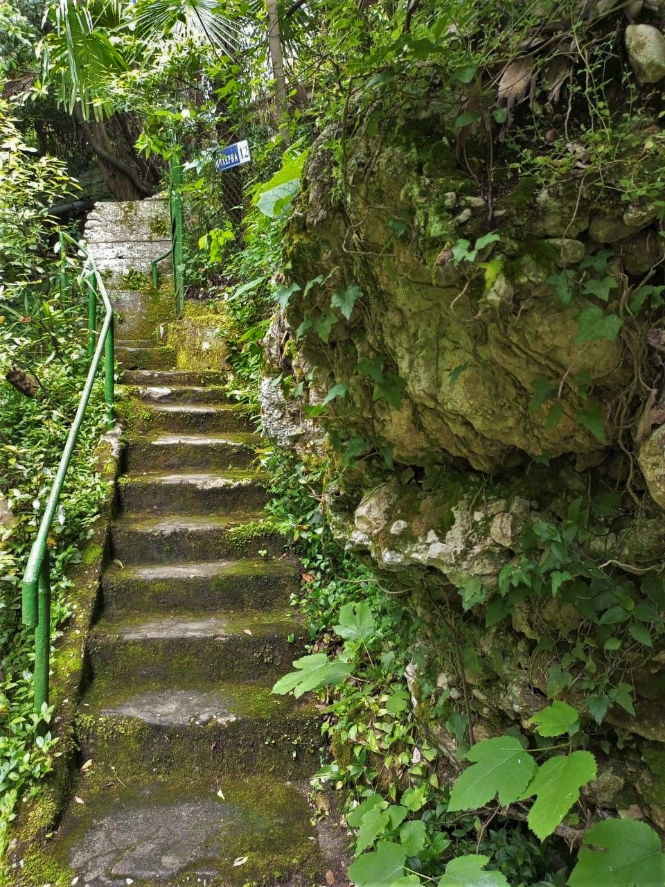 Гостевой дом Цыхерва, Гагра — фото 3