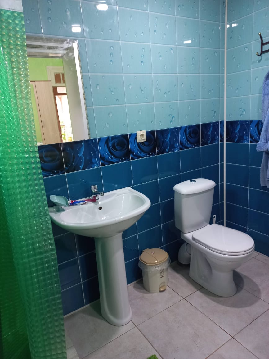 Гостевой дом Diamond на Мясникова 12, Новый Афон — фото 2