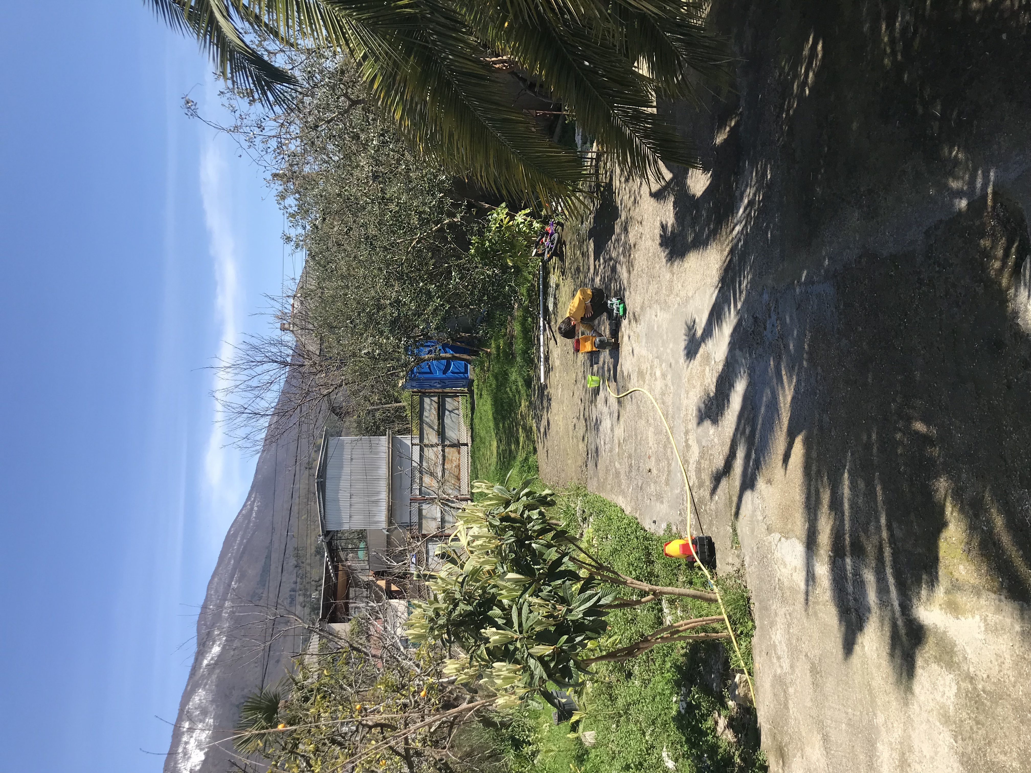 Частный сектор «Пальма», Гагра — фото 3