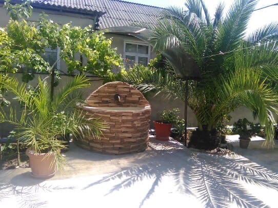 Частный сектор «Пальма», Гагра — фото 2