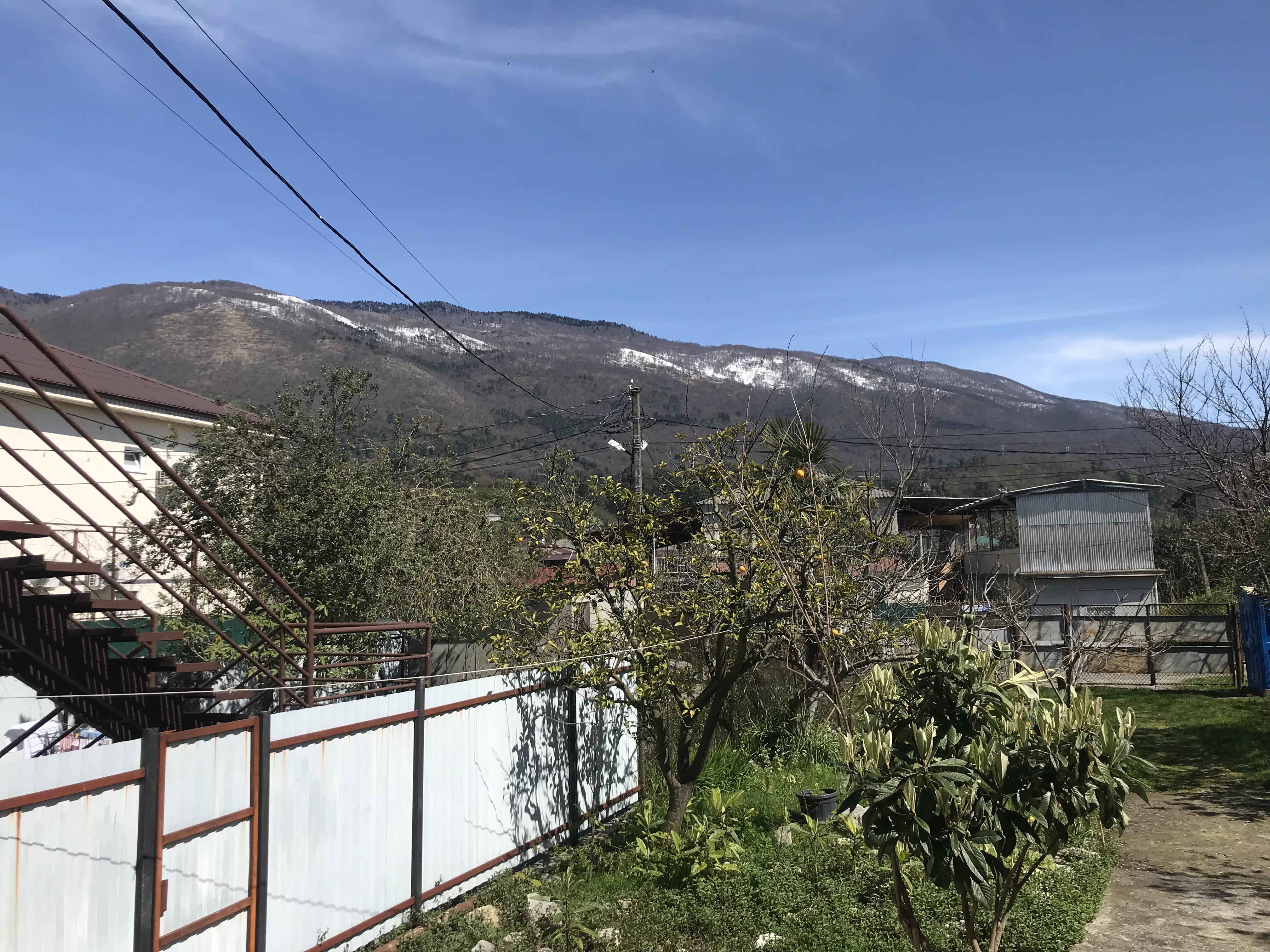 Частный сектор «Пальма», Гагра — фото 4