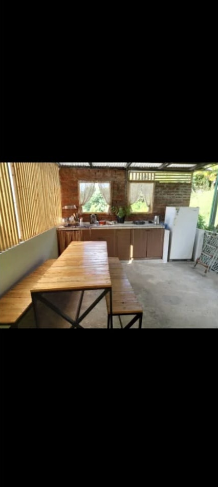 Cypress, Сухум — фото 8