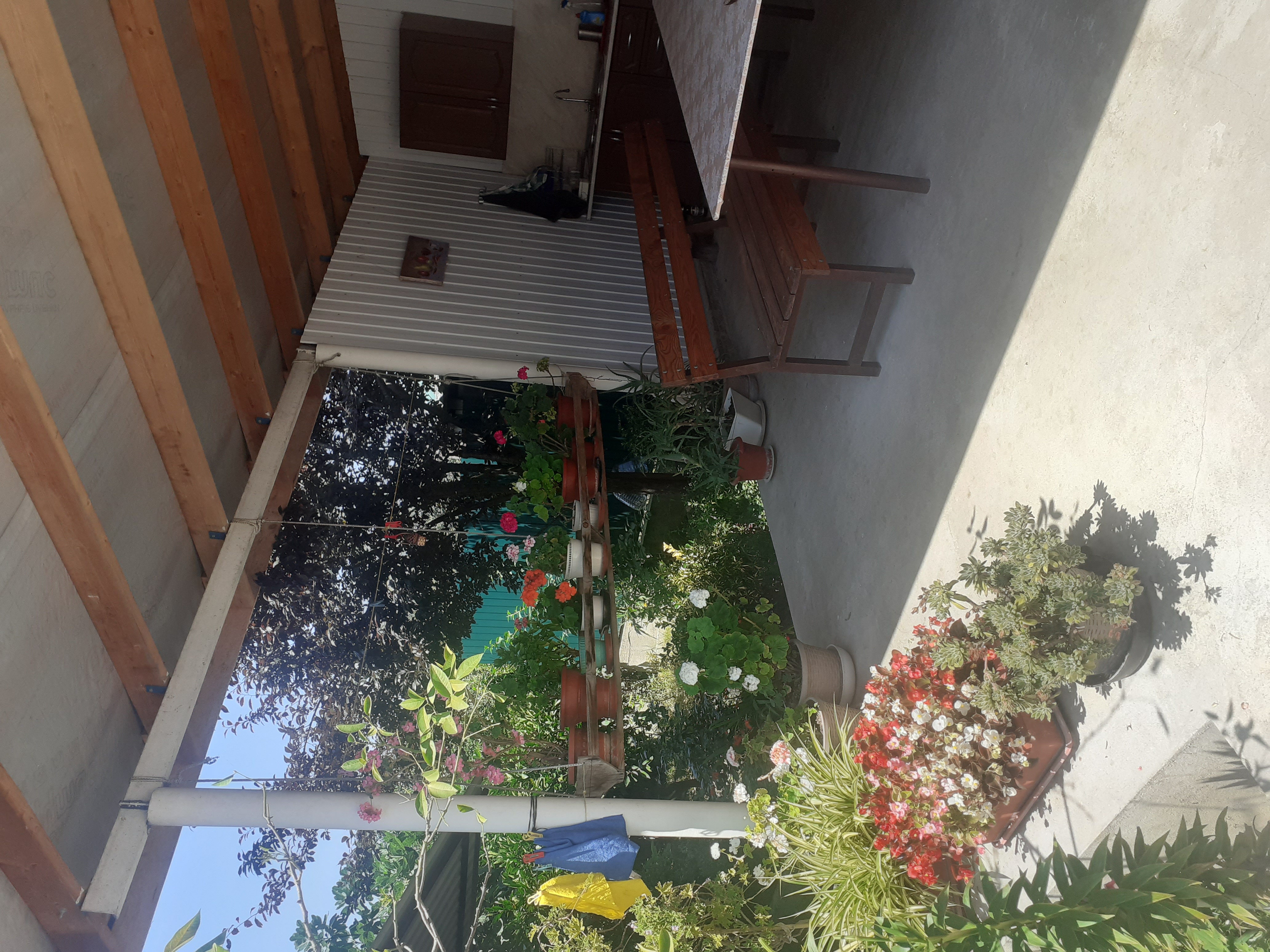 Частный сектор на Кове 30, Гудаута — фото 4