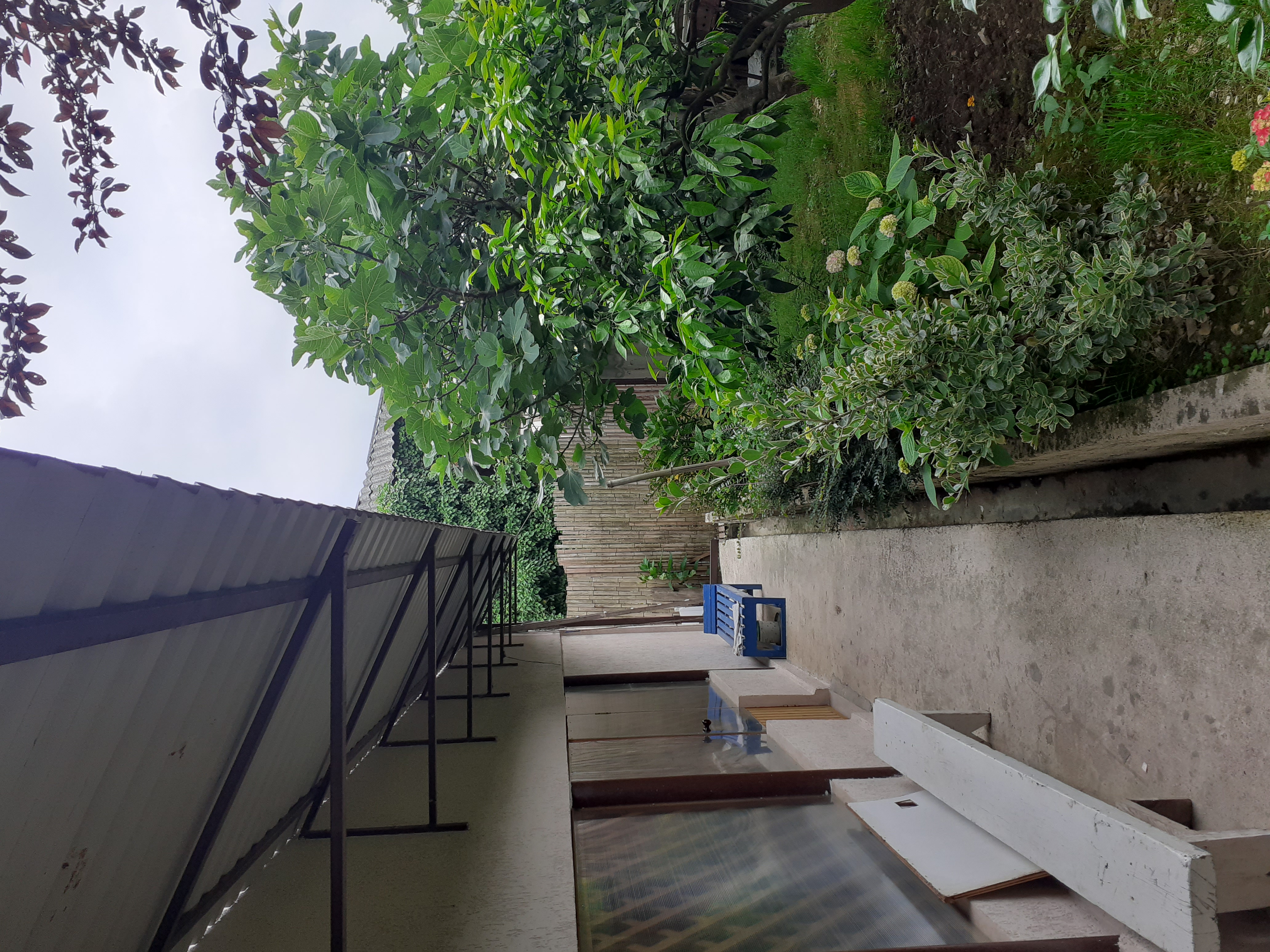 Частный сектор на Кове 30, Гудаута — фото 2