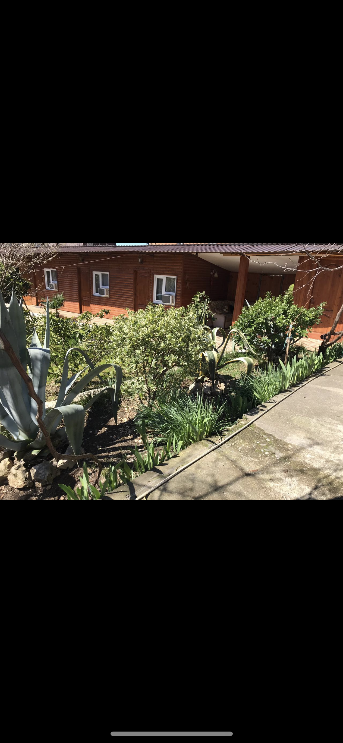 ЗЕВС, Гагра — фото 3