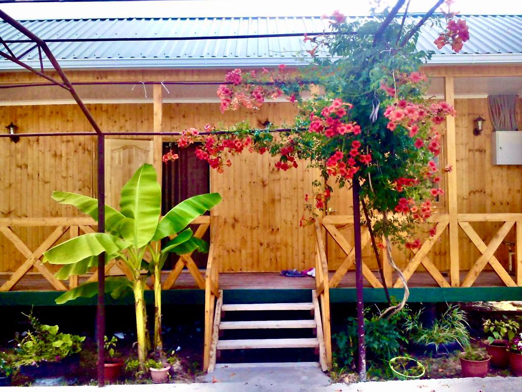 Гостевой дом у Сони, Цандрипш — фото 2