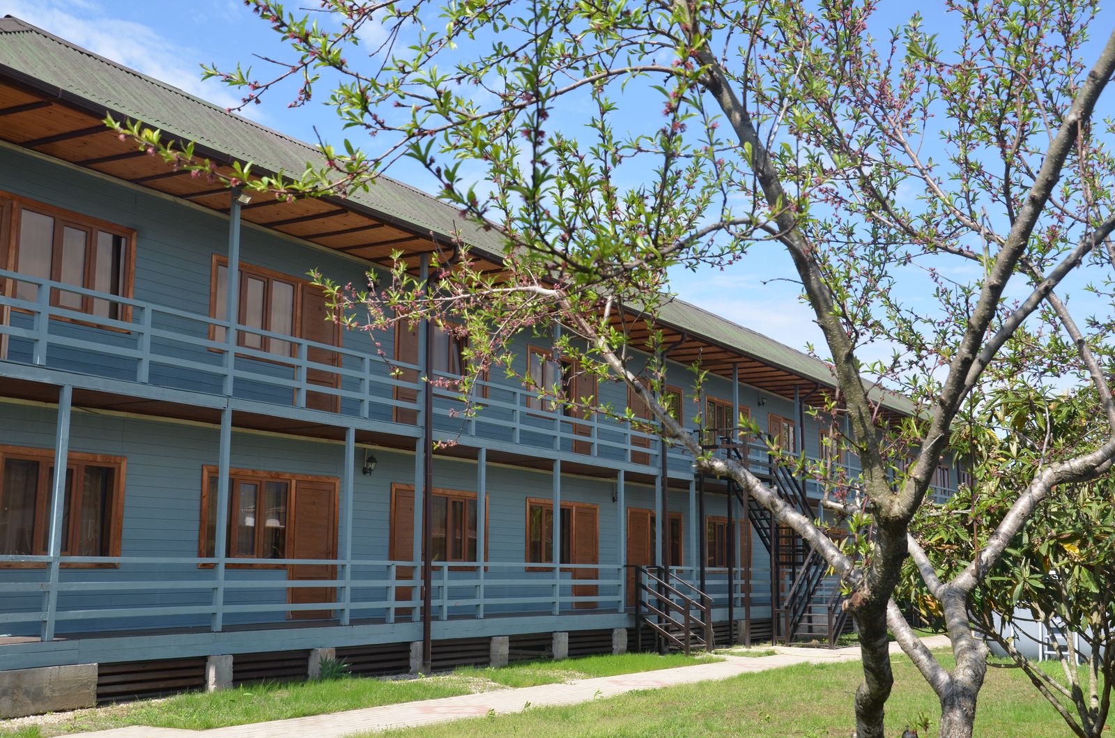 ЭкоХаус, Гагра — фото 3