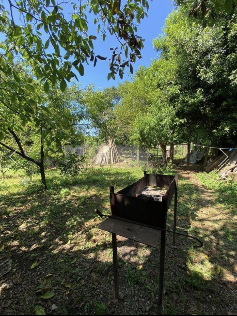 Гостевой дом, Гудаута — главное фото