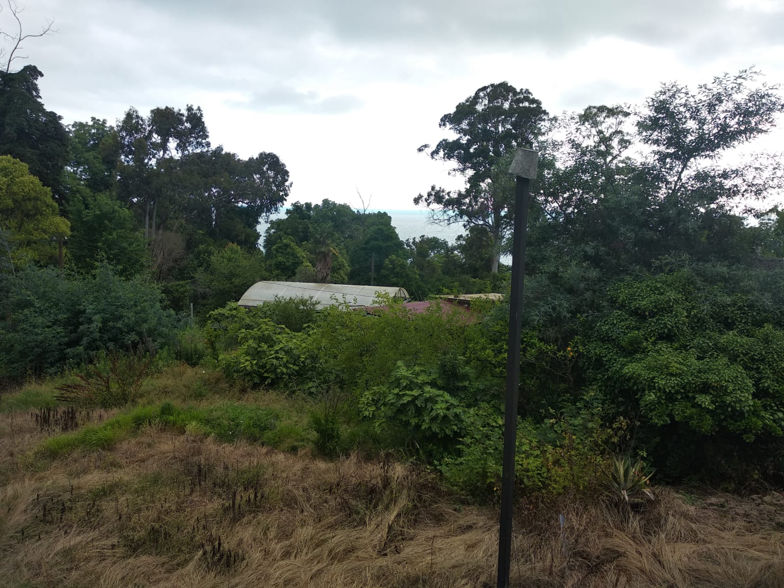 У АЛЬБЕРТА, Сухум — фото 2