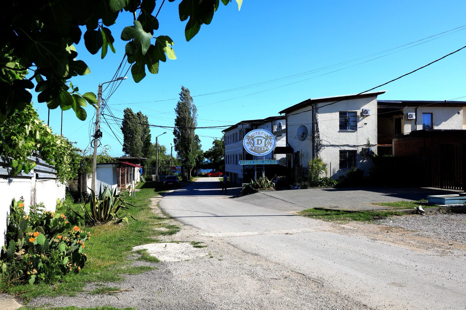 Рица, Гудаута — фото 6