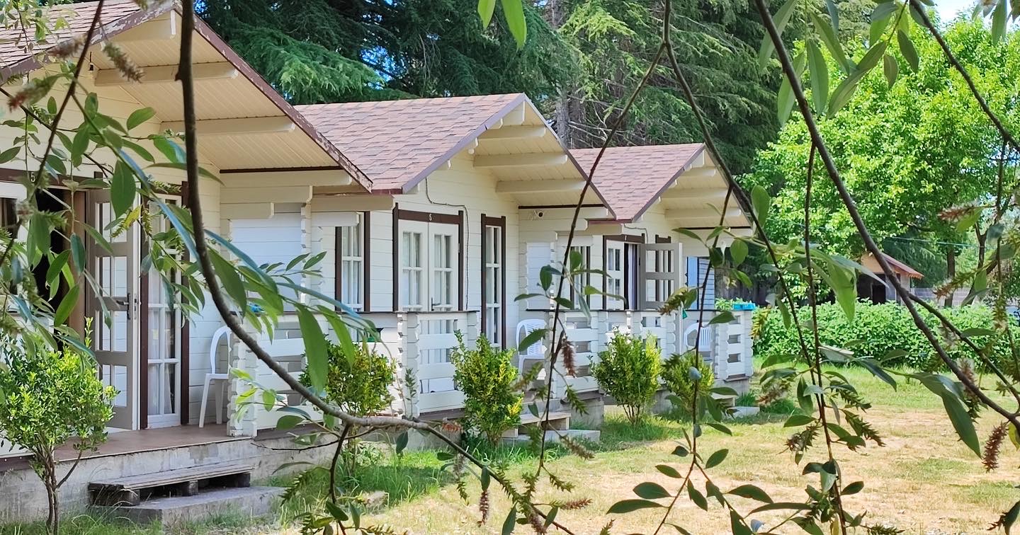 Лукоморье, Пицунда — фото 3