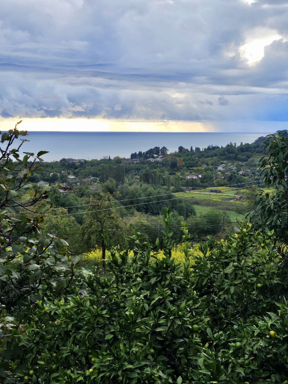 У Ашота и Джульетты., Гудаута — фото 3