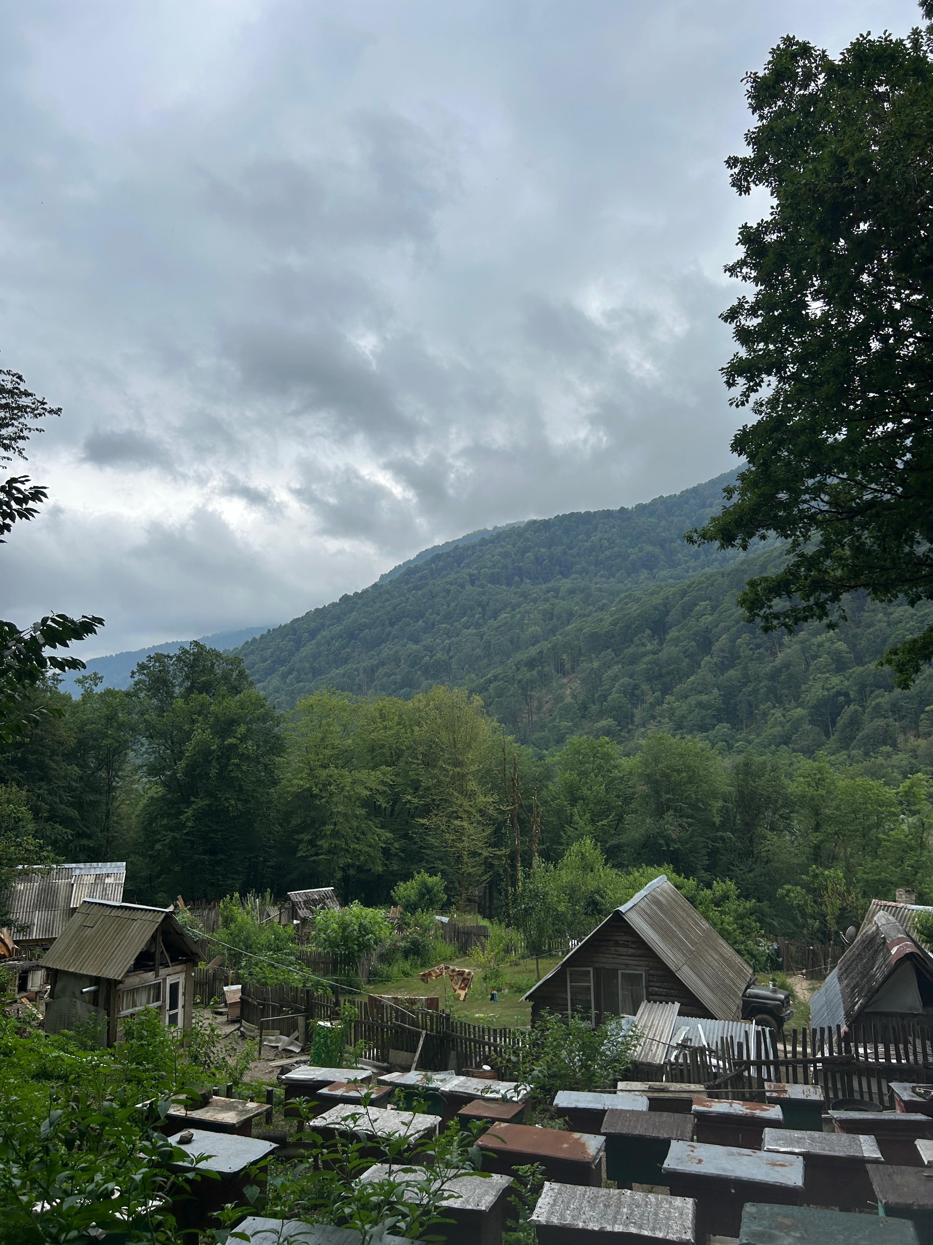 Папа Адзыбжара, Сухумский район — главное фото