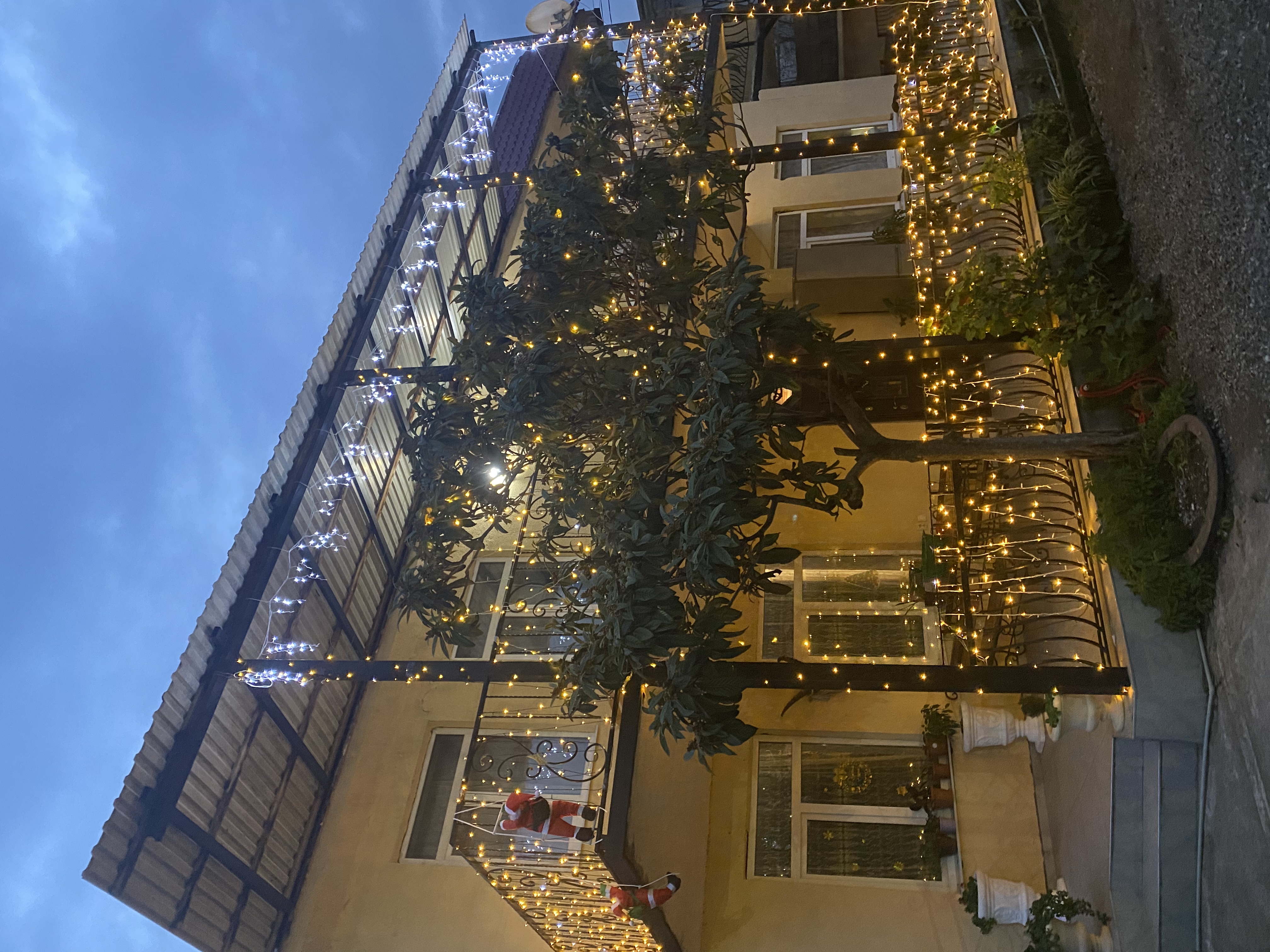 Гостевой дом «Доминика», Гагра — фото 1