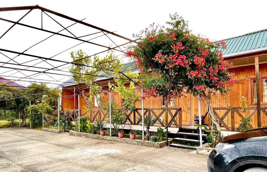 Гостевой дом у Сони, Цандрипш — главное фото