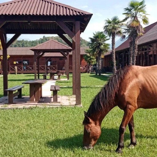 Наталья — владелец Гостевой дом "Лдзаа"