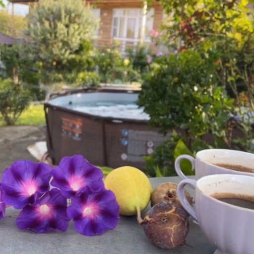 Диана — владелец Гостевой дом Леона