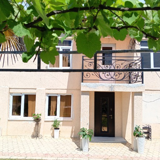 Джарсалия Алиса — владелец Гостевой дом у Алисы